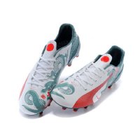 Football Boots White-Grey evoPOWER 1.2 FG Shoes Cleats