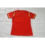 2015 Rugby World Cup Wales National Team Red Jersey [D290]